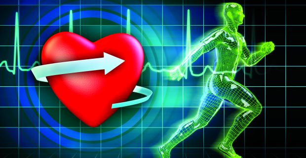 miért fontos a testmozgás a szív egészsége szempontjából)