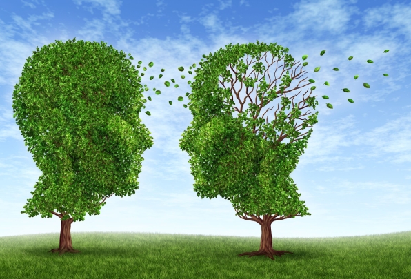 Új eredmények az Alzheimer-kutatásban