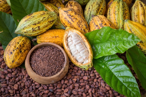 A kakaó flavonoidjai fokozhatják az agy oxigénellátását