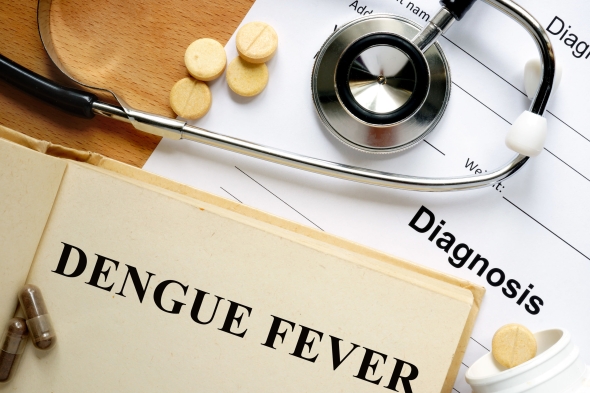 Csökkent a dengue-lázas esetek számát