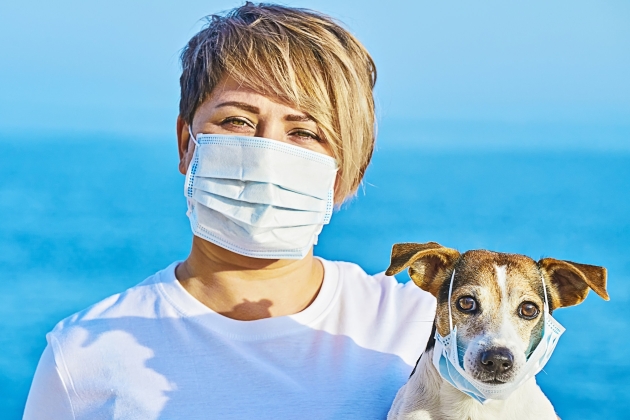 A vírus a háziállatoknál is okozhat szívizomgyulladást
