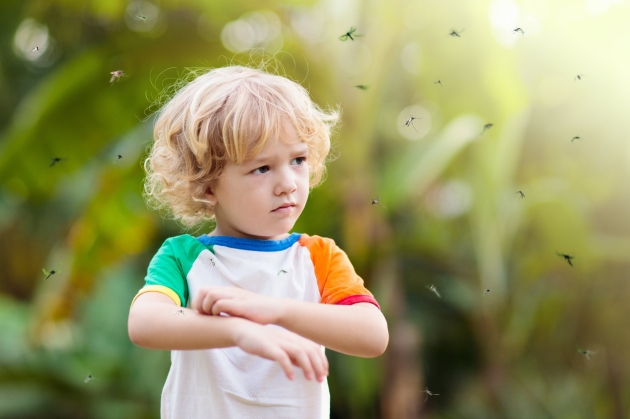 Okozhat a szúnyogcsípés allergiát gyerekeknél?
