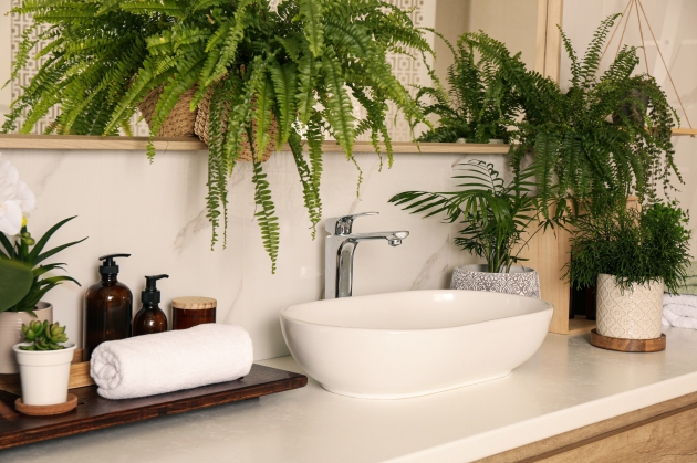 Növények a fürdőszobában: páfrány, aloe vera és orchidea