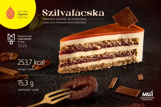 A Szilvafácska lett Magyarország Cukormentes Tortája A Szilvafácska lett Magyarország Cukormentes Tortája